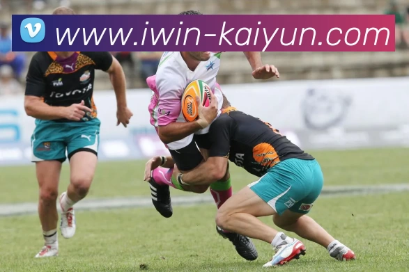 开云体育品牌故事